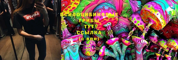 дурь Армянск