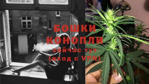 гидра Липки
