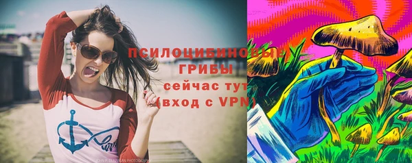 ешки Алексин