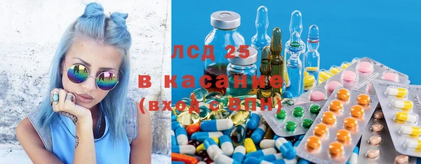 гидра Липки
